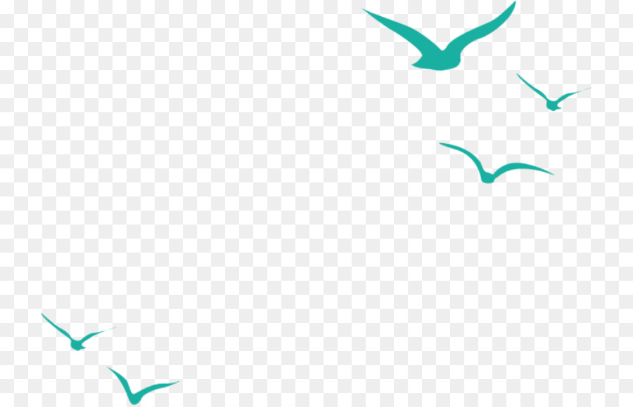 Hummingbird Flight Common gull Beak - Flying seagull png download - 784*578 - Free Transparent Bird png Download.