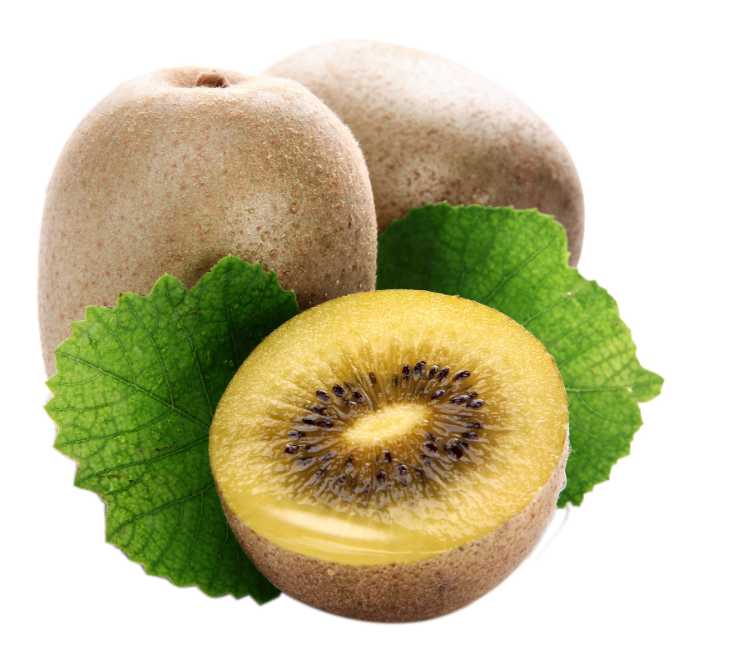 Kiwifruit Food Hardy kiwi - Kiwi Kiwi png download - 729*668 - Free