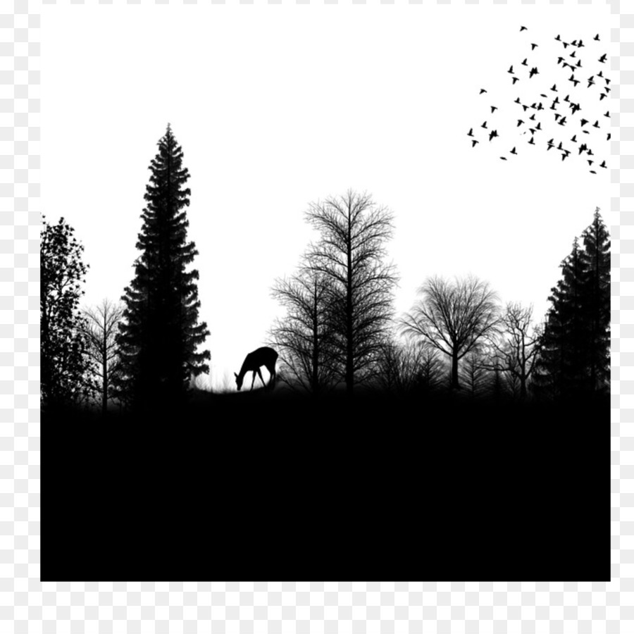 Silhouette Drawing Forest - Silhouette png download - 2896*2896 - Free Transparent Silhouette png Download.