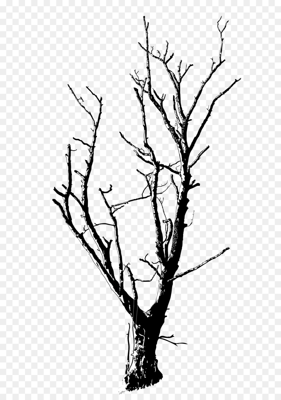 Drawing Branch Silhouette Tree Clip art - ace png download - 1697*2400 - Free Transparent Drawing png Download.