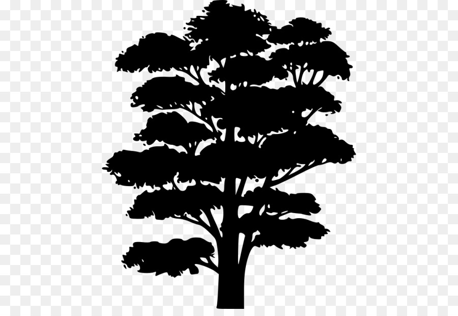 Tree Silhouette Clip art - tree png download - 500*606 - Free Transparent Tree png Download.
