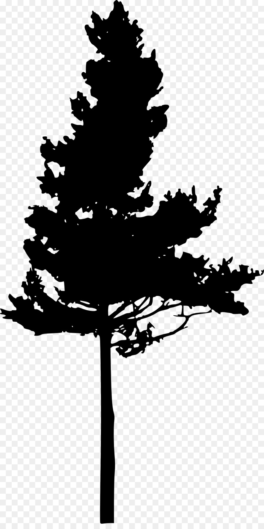 Silhouette Pine Clip art - silhouette of tree png download - 1010*2000 - Free Transparent Silhouette png Download.