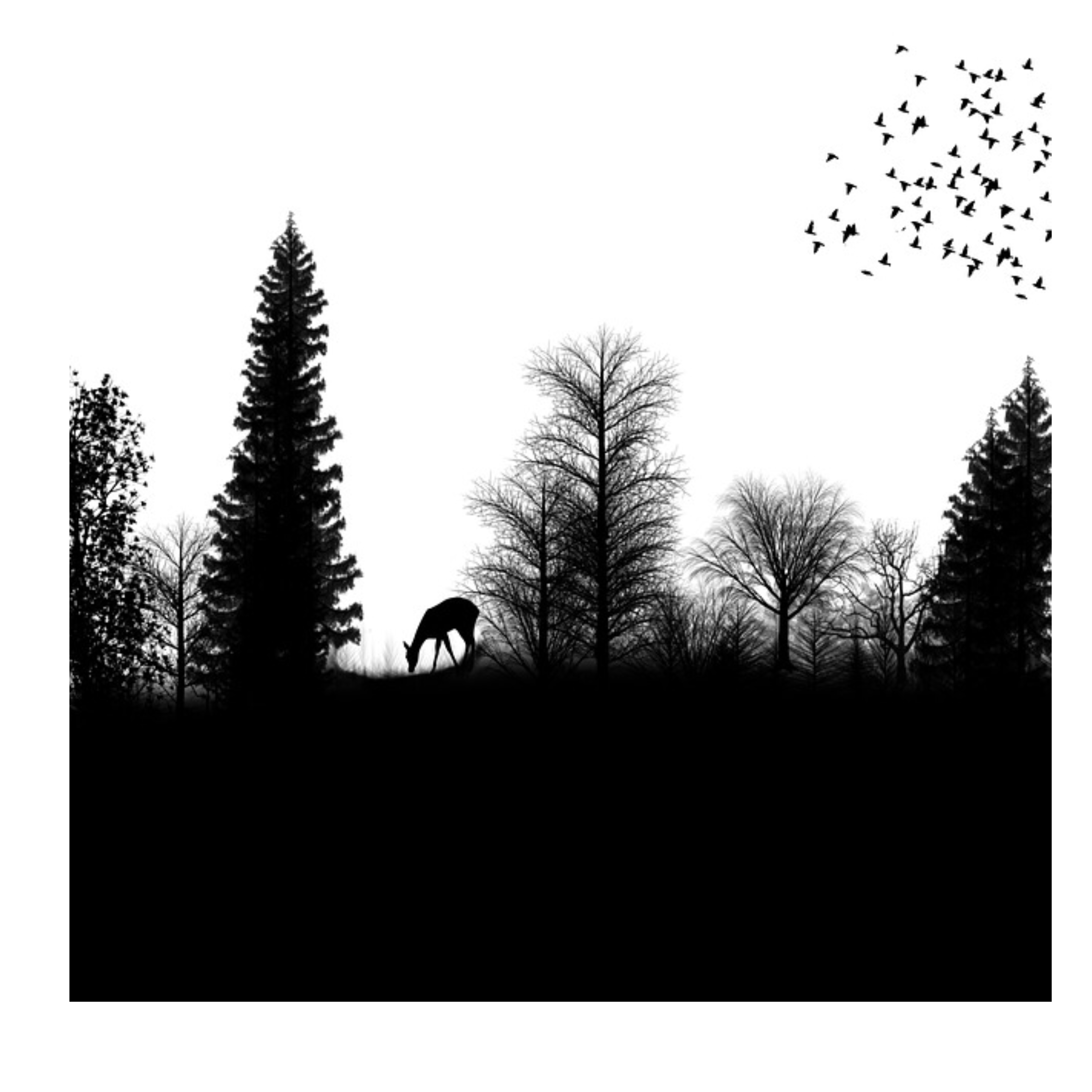 Silhouette Drawing Forest - Silhouette png download - 2896*2896 - Free