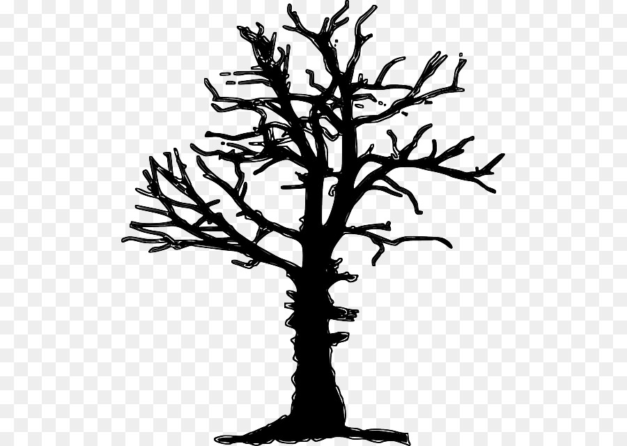 Tree Drawing Forest dieback Clip art - kering png download - 551*640 - Free Transparent Tree png Download.