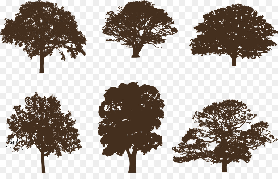 Oak Silhouette Clip art Vector graphics Tree - silhouette png download - 1606*1002 - Free Transparent Oak png Download.