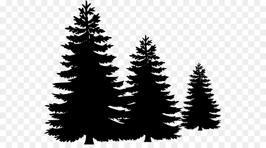 Pine Fir Tree Evergreen Clip art - Black Forest Cake png download - 600*488 - Free Transparent Pine png Download.