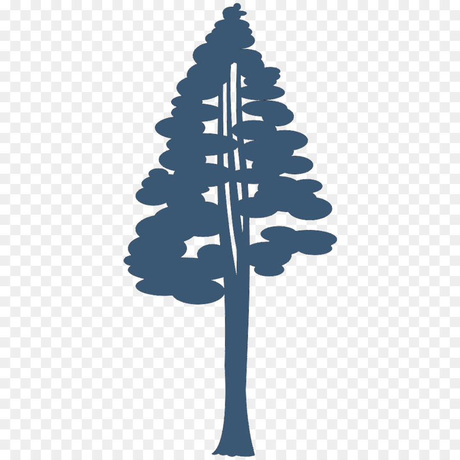 Coast redwood Giant sequoia Drawing Silhouette Clip art - department of forestry png download - 1024*1024 - Free Transparent Coast Redwood png Download.