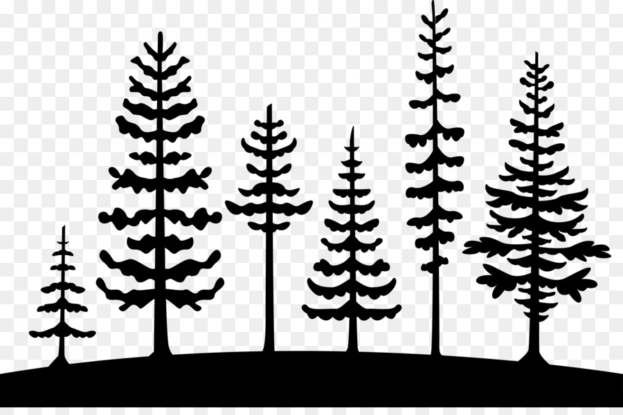 Tree Pine Clip art Cedrus libani Vector graphics - norway forest png step png download - 4567*2989 - Free Transparent Tree png Download.