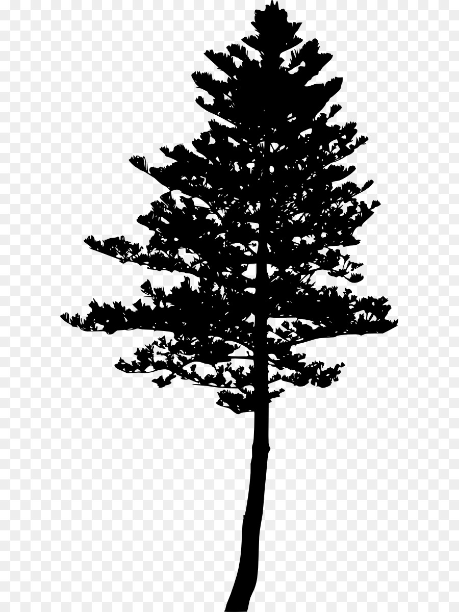 Tree Pine Silhouette Woody plant Evergreen - pine tree png download - 663*1200 - Free Transparent Tree png Download.