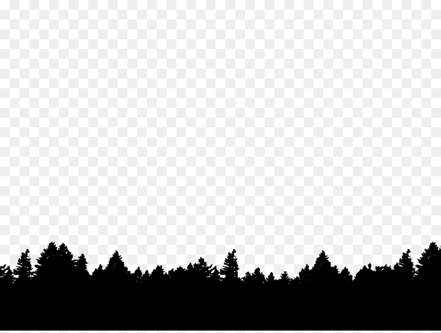 Tree Photography Silhouette - forest png download - 1280*960 - Free Transparent Tree png Download.