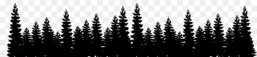 Eastern white pine Tree Forest Clip art - landscape silhouette png download - 1200*266 - Free Transparent Pine png Download.