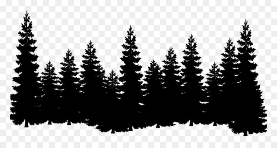 Eastern white pine Tree Clip art Cedar - norway cover png forest png download - 834*480 - Free Transparent Pine png Download.