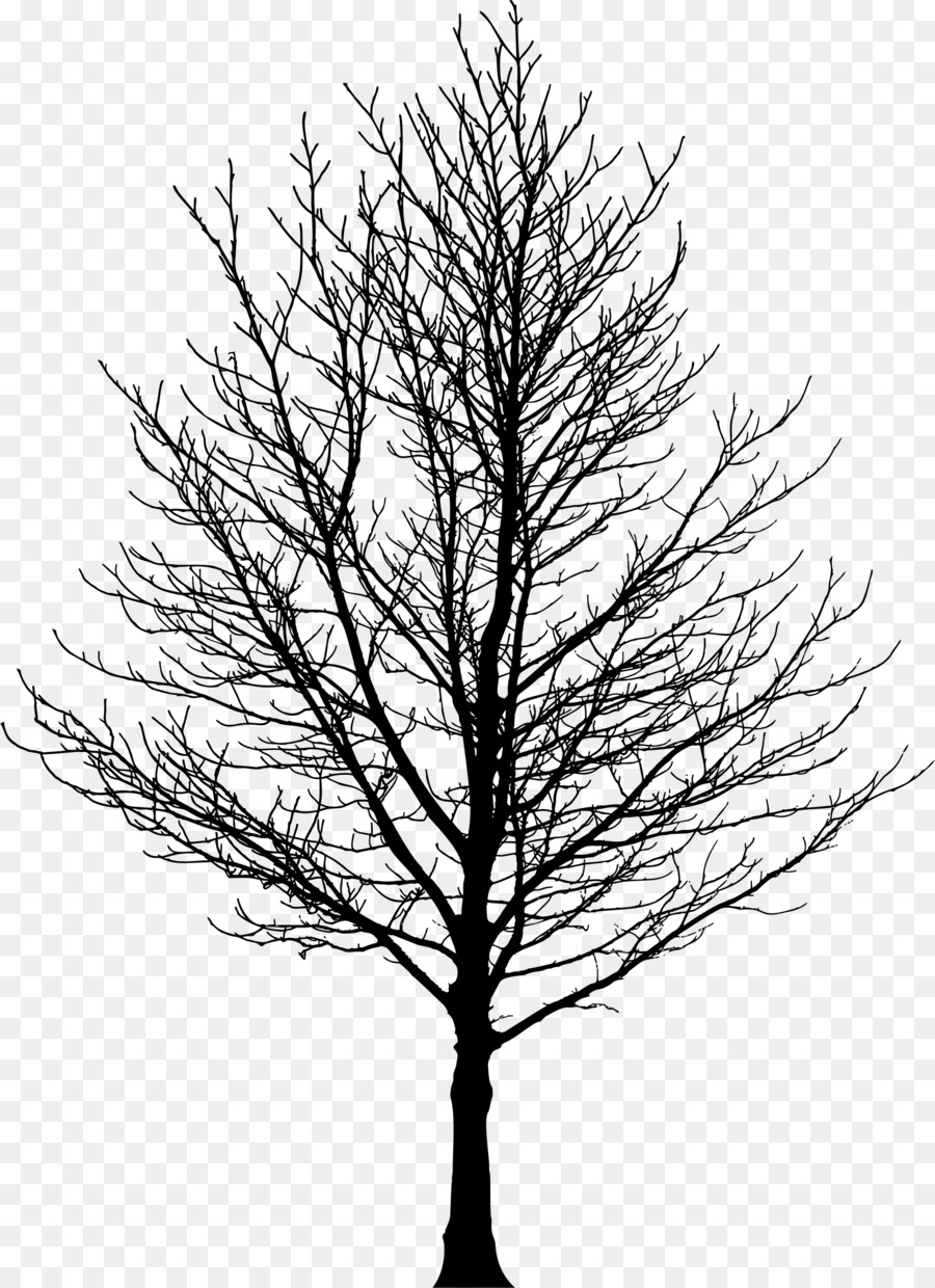 Tree Forest Sugar maple Drawing Clip art - tree silhouette png download - 1680*2314 - Free Transparent Tree png Download.