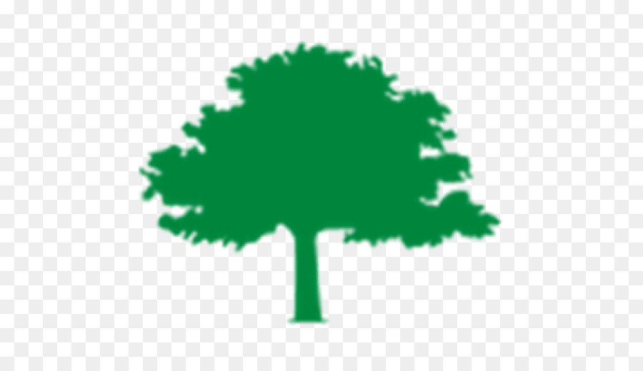 Tree Fund Organization Funding Urban forestry - pruning trees png download - 512*512 - Free Transparent Tree Fund png Download.