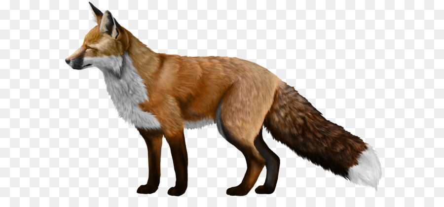 Red fox Akita Horse Penguin Kairaly Road - Fox PNG png download - 1996*1235 - Free Transparent Domesticated Red Fox png Download.