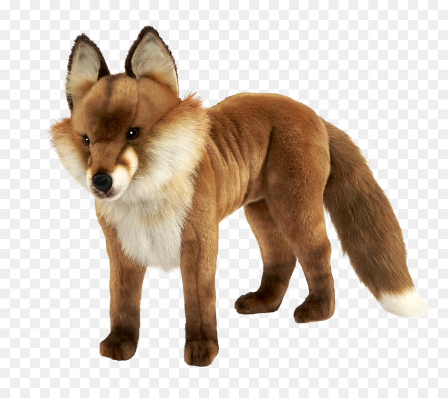 Red fox Dhole Dog Snout - fox png download - 2048*1799 - Free Transparent RED Fox png Download.