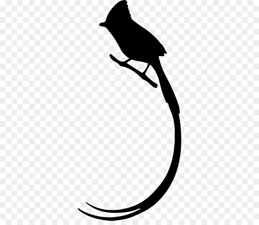Long tail Bird Silhouette Clip art - Bird png download - 360*766 - Free Transparent Long Tail png Download.