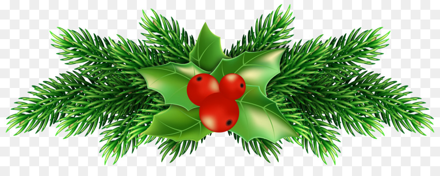 Common holly Christmas Clip art - pine cone png download - 5000*1917 - Free Transparent Common Holly png Download.