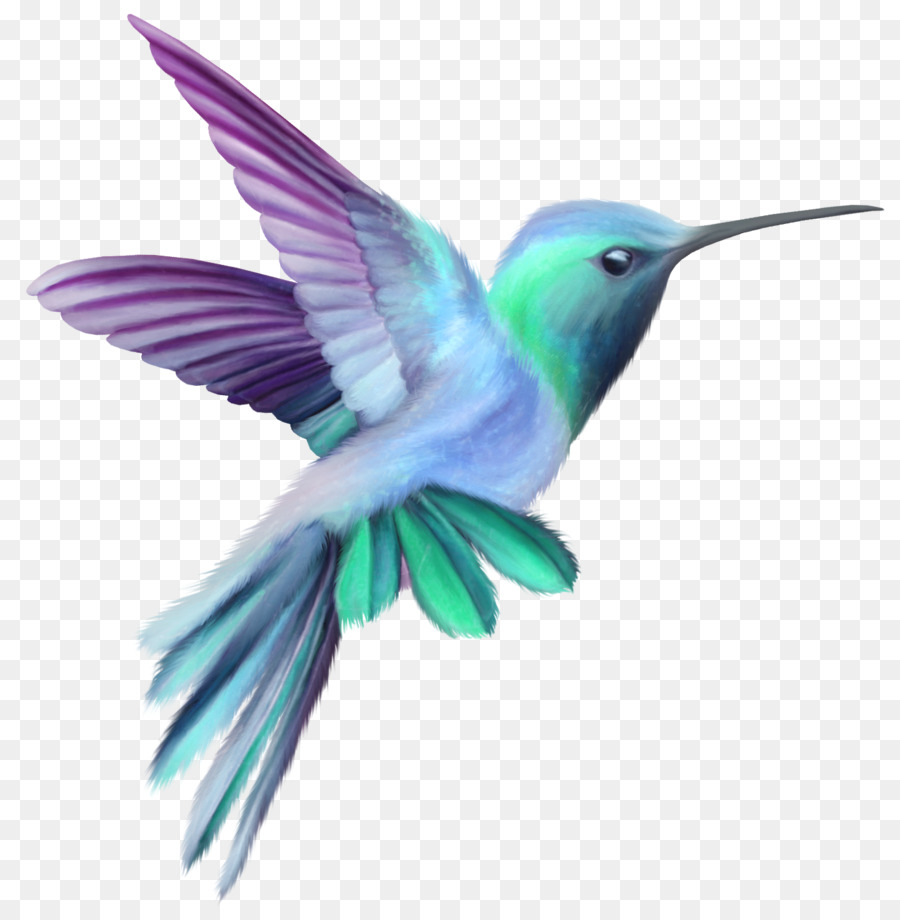 Hummingbird Drawing Clip art - birds png download - 1363*1373 - Free