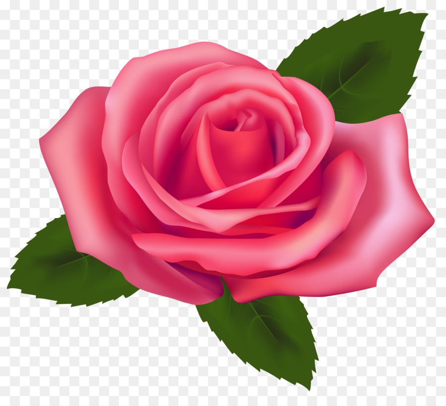 Rose Pink Free Clip art - Roses Cliparts png download - 4000*3558 - Free Transparent Rose png Download.