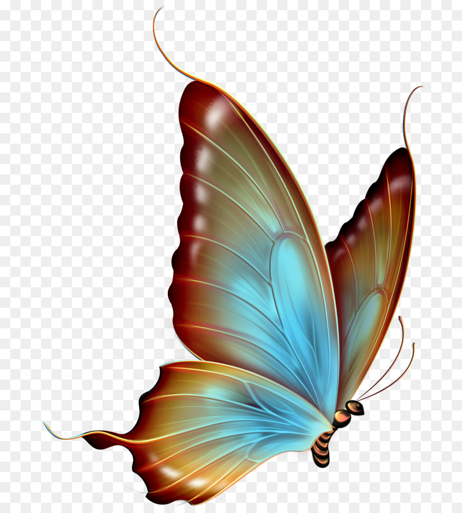 Butterfly Clip art - Free Cliparts Butterflies png download - 782*1000 - Free Transparent Butterfly png Download.