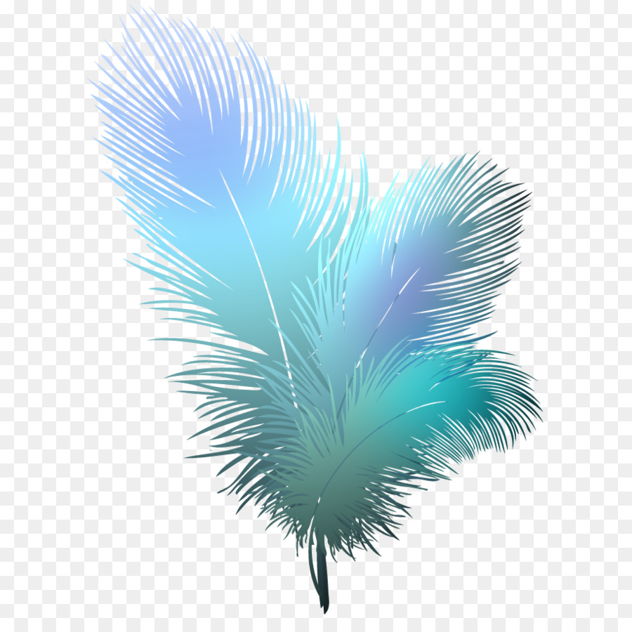 Bird Feather Clip art - feather png download - 916*898 - Free Transparent Bird png Download.