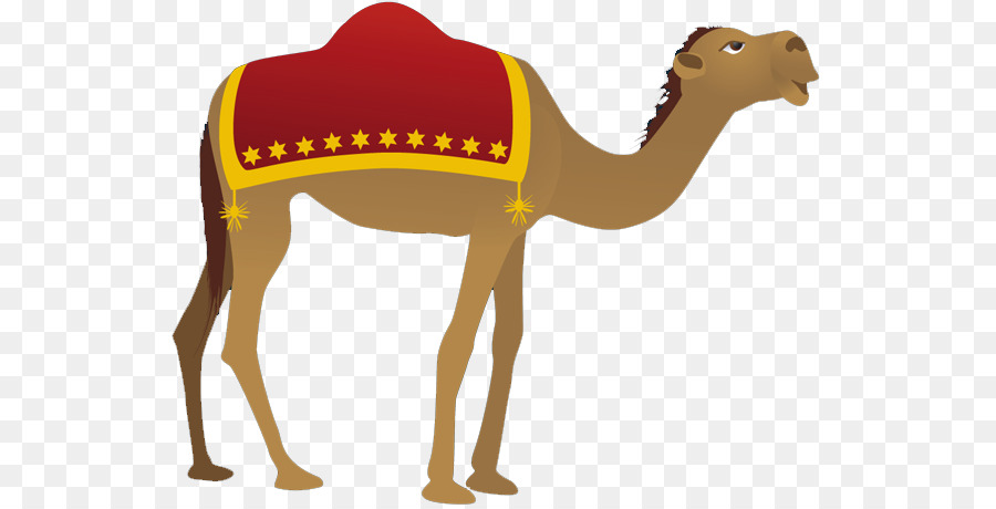 Camel Nativity scene Clip art - Moroccan Camel Cliparts png download - 600*459 - Free Transparent Camel png Download.