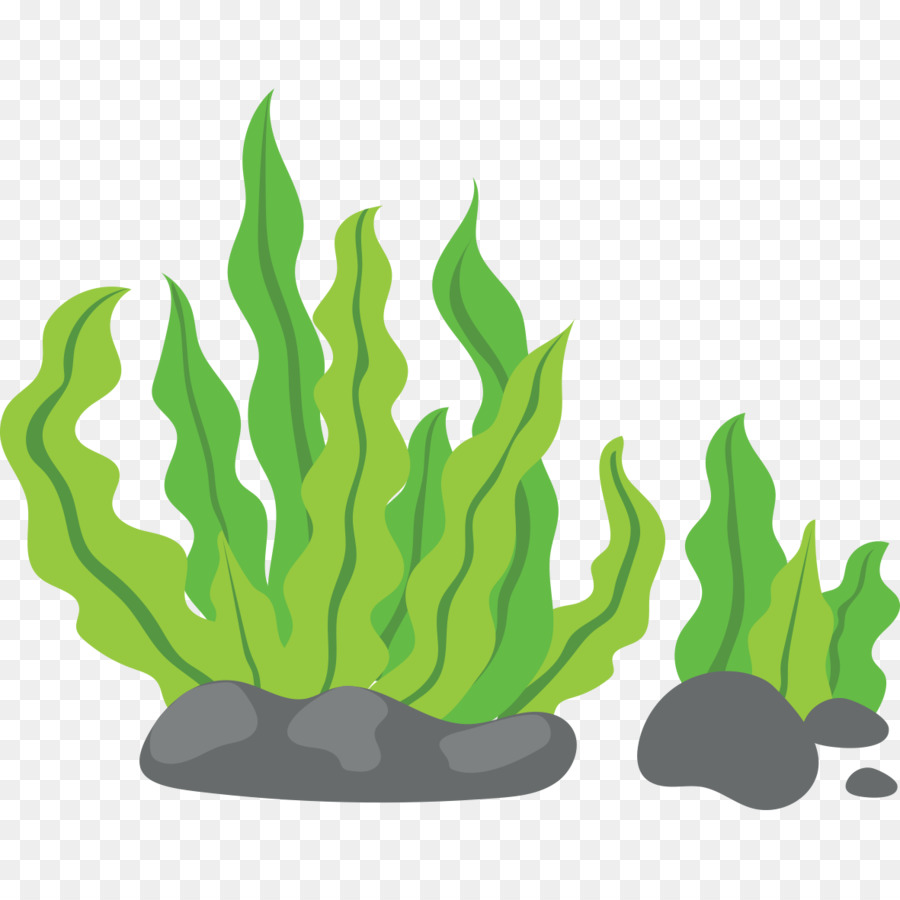 Seaweed Clip art - Green background png download - 1181*1181 - Free Transparent Seaweed png Download.