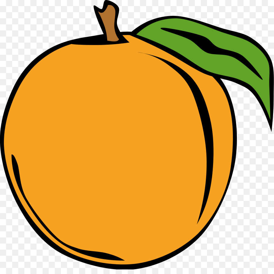 Peach Free content Clip art - Transparent Fruit Cliparts png download - 900*885 - Free Transparent Peach png Download.