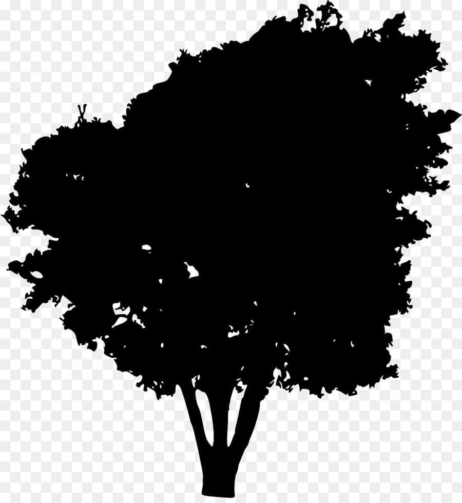 Tree Silhouette Clip art - tree silhouette png download - 1113*1200 - Free Transparent Tree png Download.