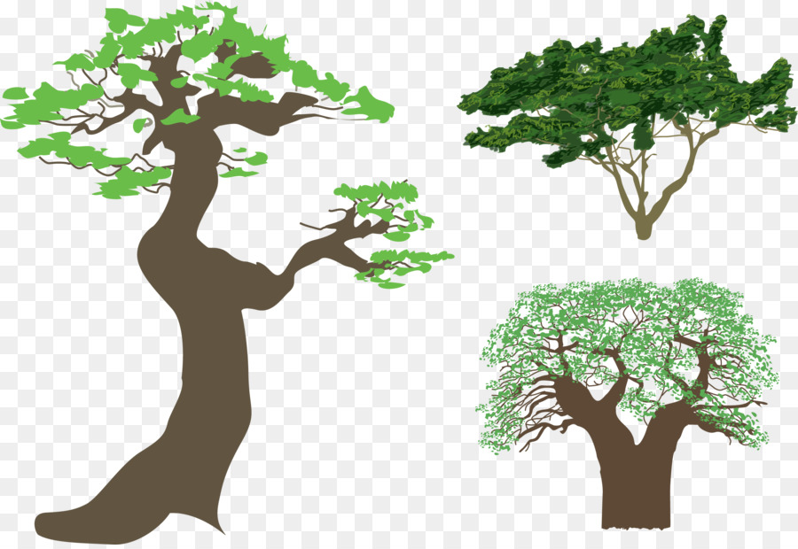 Tree Silhouette Illustration - Retro crown vector png download - 2542*1737 - Free Transparent Tree png Download.