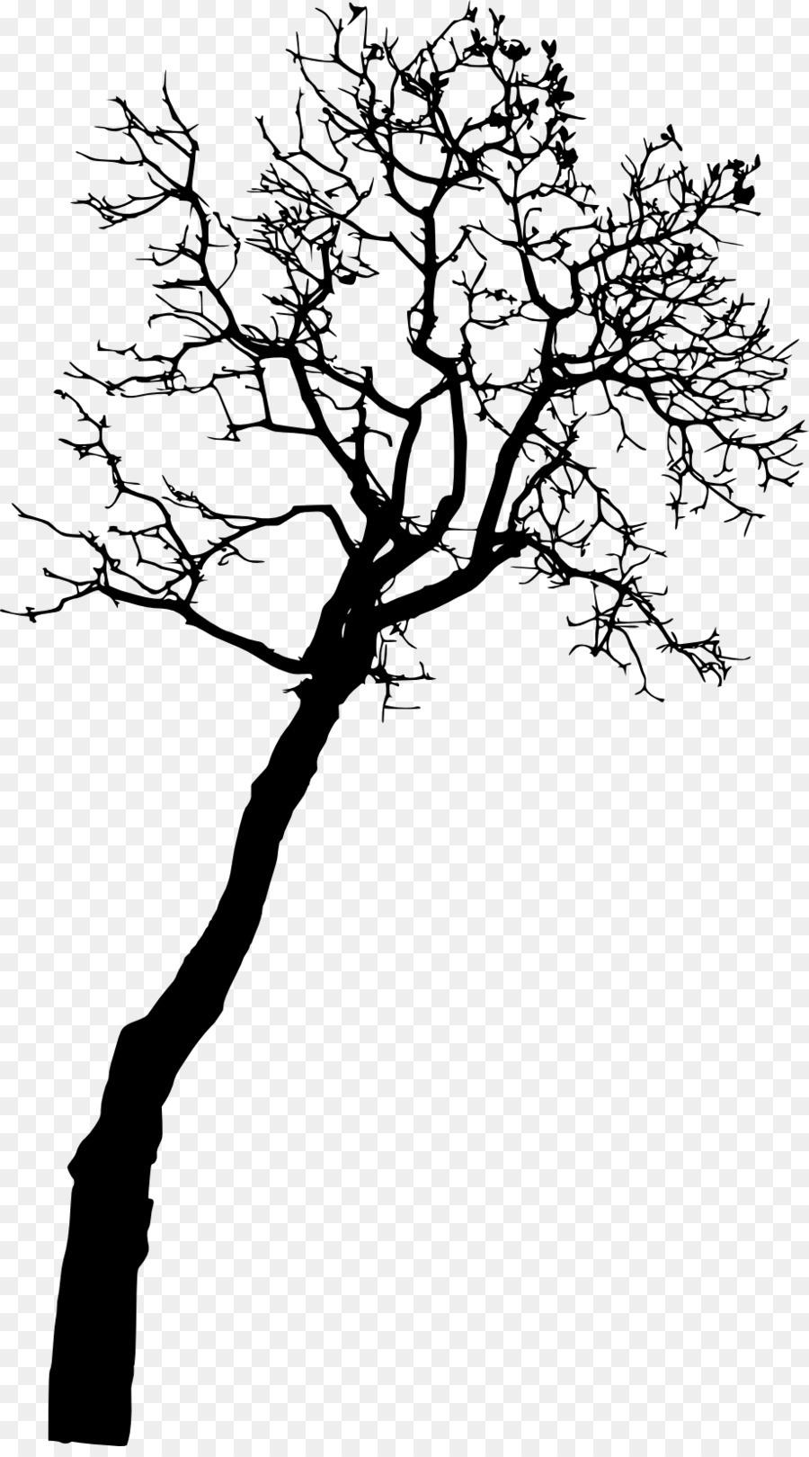 Tree Photography - tree silhouette png download - 920*1644 - Free Transparent Tree png Download.