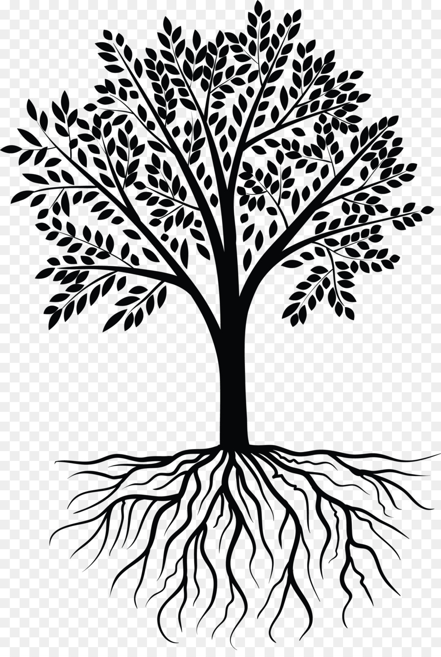 Tree Photography Clip art - tree vector png download - 2264*3335 - Free Transparent Tree png Download.