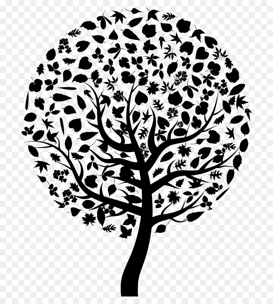 Tree Silhouette Clip art - VECTOR FAMILY TREE  FRAMES png download - 800*1000 - Free Transparent Tree png Download.