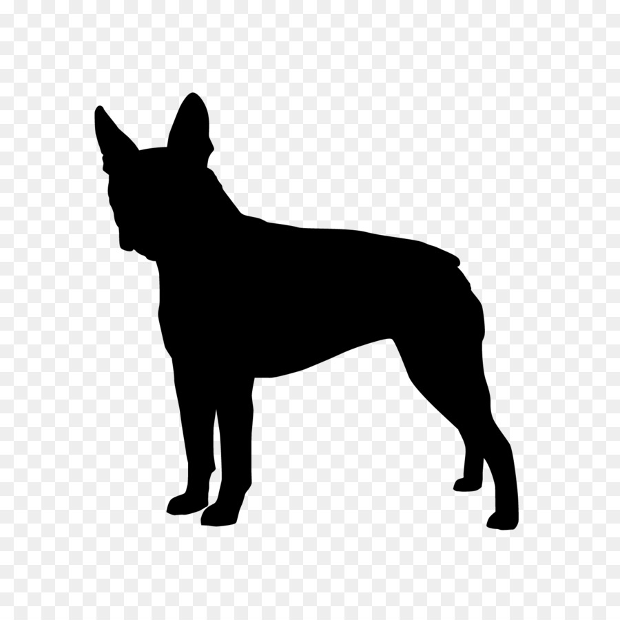 French Bulldog Dog breed German Shepherd Puppy Vector graphics -  png download - 1500*1500 - Free Transparent French Bulldog png Download.