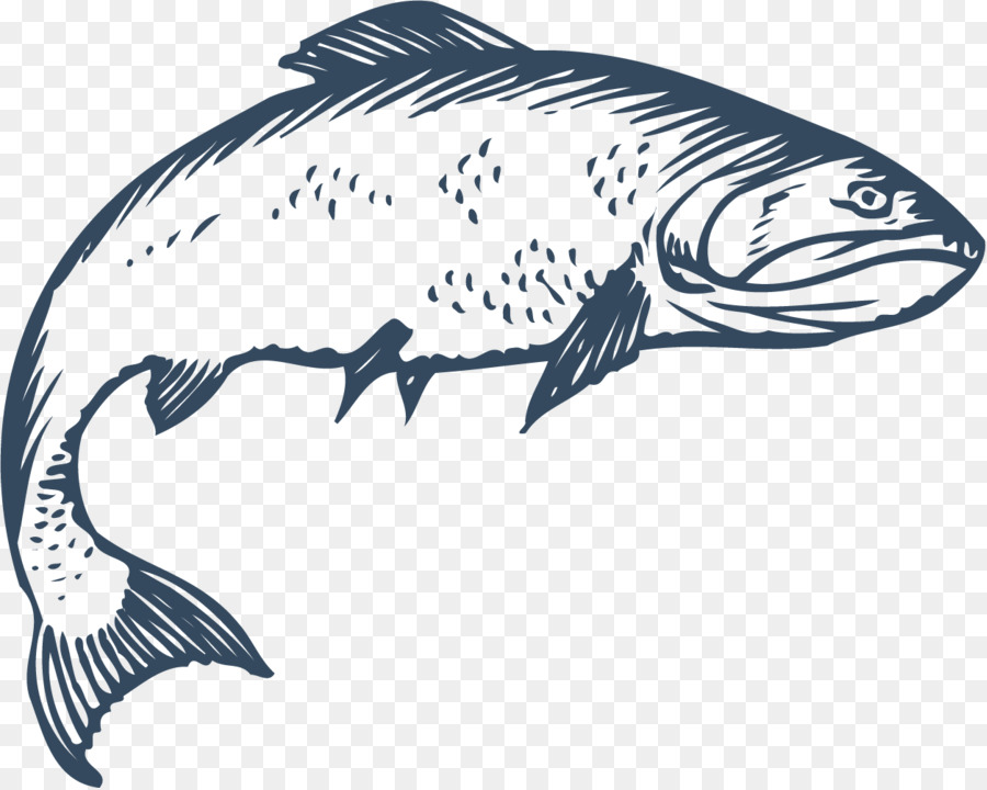 Freshwater fish Euclidean vector - Crooked fish png download - 1254*1001 - Free Transparent Fish png Download.
