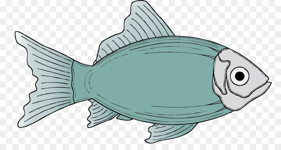 Fish Free content Clip art - Freshwater fish png download - 1107*577 - Free Transparent Fish png Download.