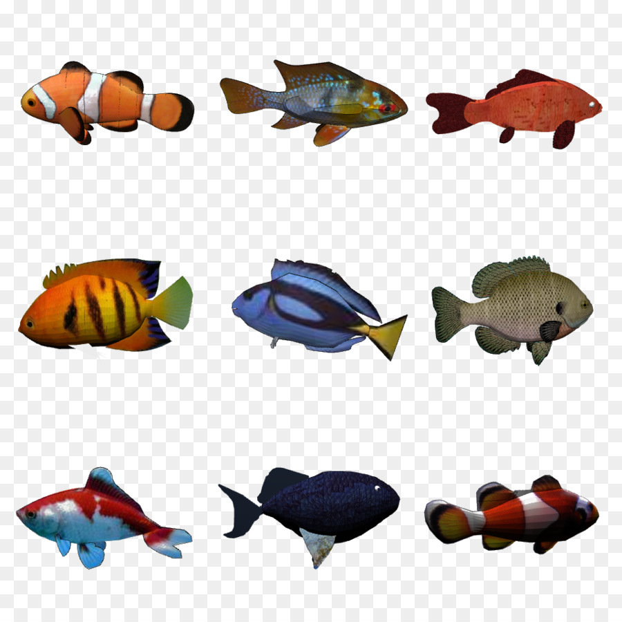 Object detection Freshwater fish Exemplar theory - fish tank png download - 960*960 - Free Transparent Object Detection png Download.