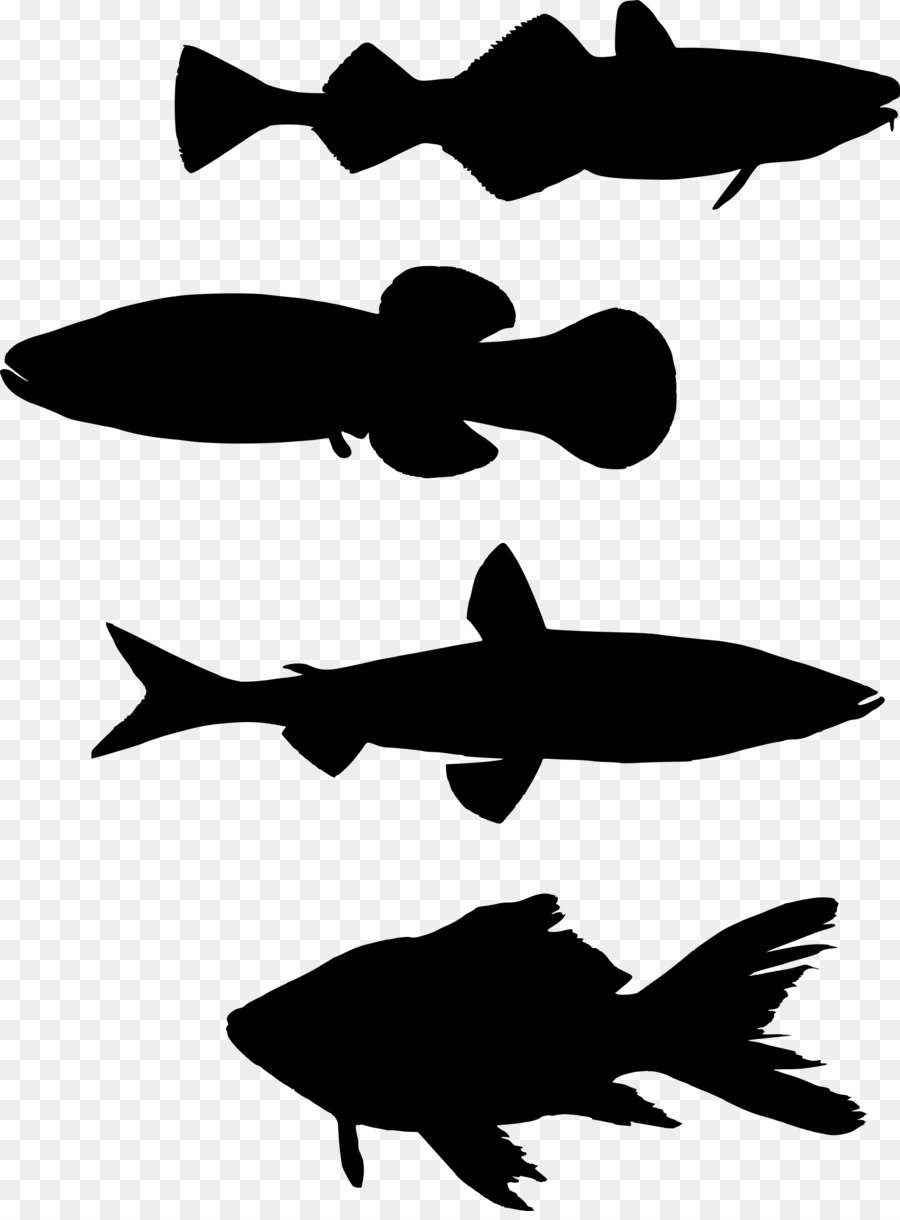 Fishing Silhouette Clip art - fish png download - 1783*2400 - Free Transparent Fish png Download.
