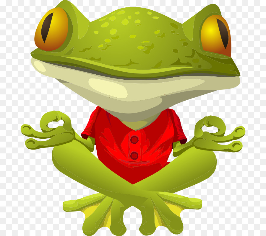Frog Lithobates clamitans Toad Clip art - vibrant clipart png download - 762*800 - Free Transparent Frog png Download.
