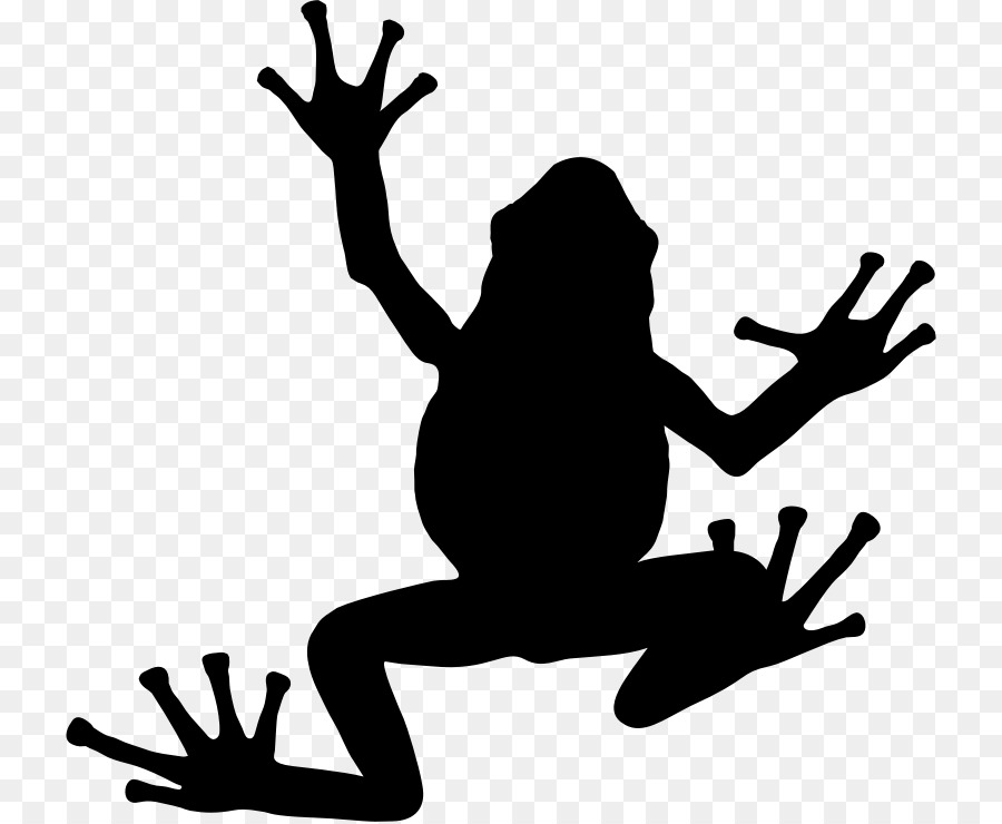 Frog Silhouette Clip art - frog png download - 782*738 - Free Transparent Frog png Download.
