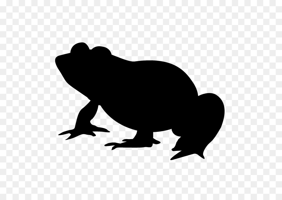 Frog February 29 Clip art - cat png download - 640*640 - Free Transparent Frog png Download.