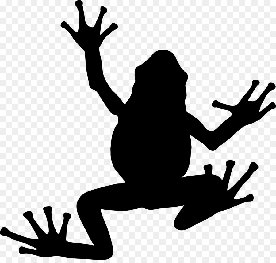 Tree frog Silhouette Toad - black pasture silhoute png download - 2344*2214 - Free Transparent Frog png Download.