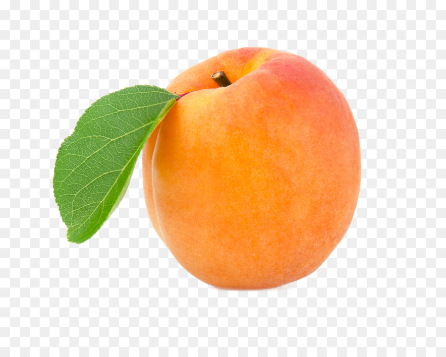 Peach Apricot Portable Network Graphics Fruit Transparency - peach png download - 3546*2762 - Free Transparent Peach png Download.