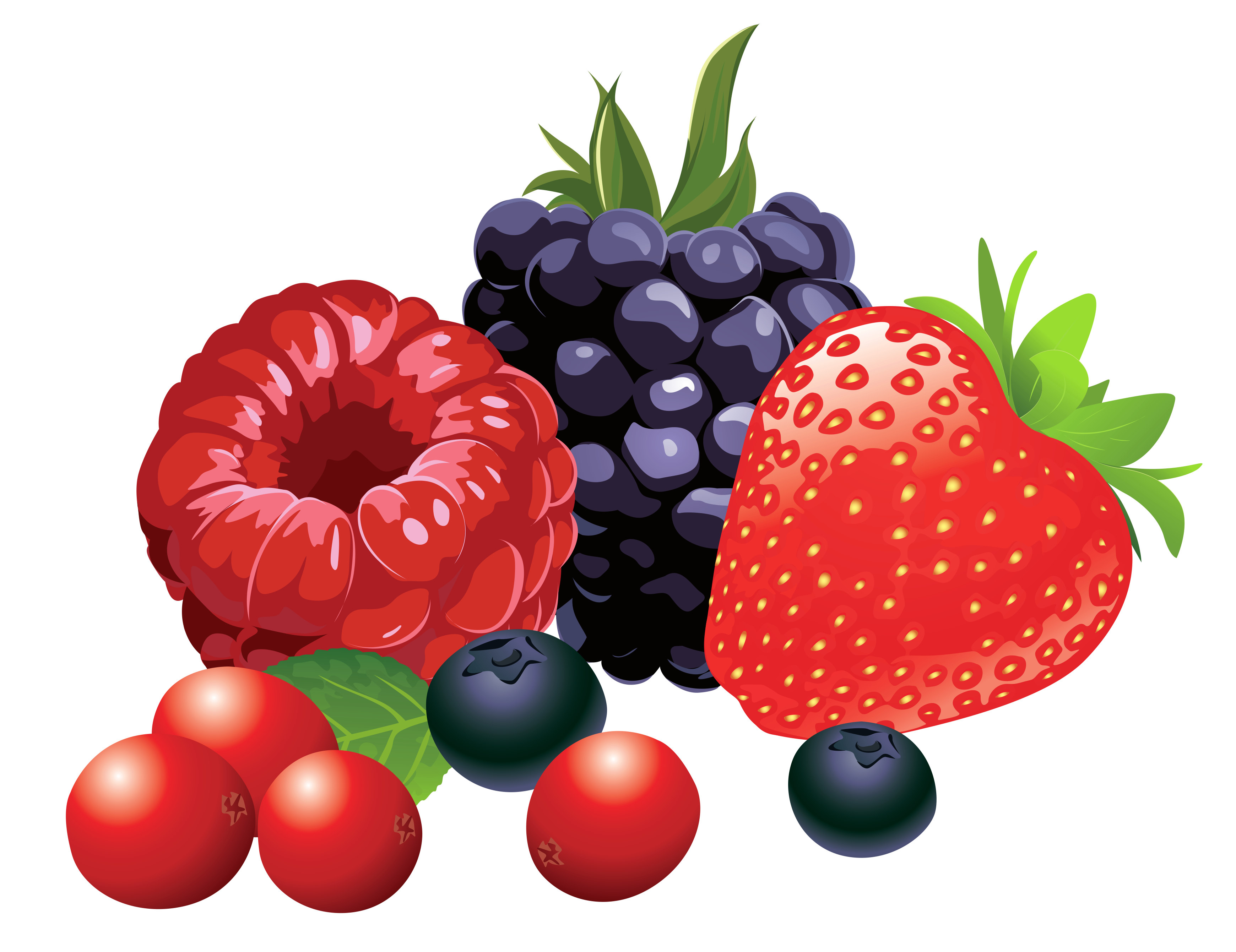 Berry Fruit Clip art Forest Fruits PNG Vector Clipart Image png