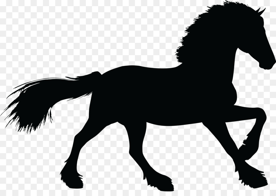 Stallion Clydesdale horse Gallop Silhouette Clip art - wedding carriage png download - 4000*2777 - Free Transparent Stallion png Download.
