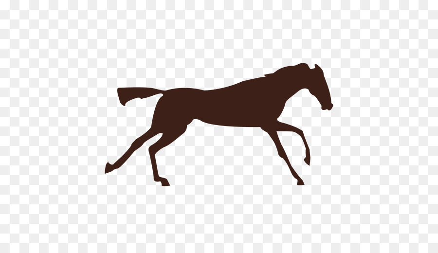 Horse gait Canter and gallop Foal - sequntial vector png download - 512*512 - Free Transparent Horse png Download.