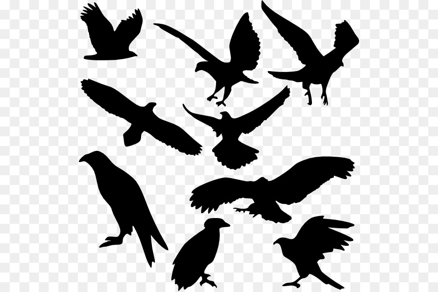 Bird Silhouette Clip art - game of thrones stars png download - 576*598 - Free Transparent Bird png Download.
