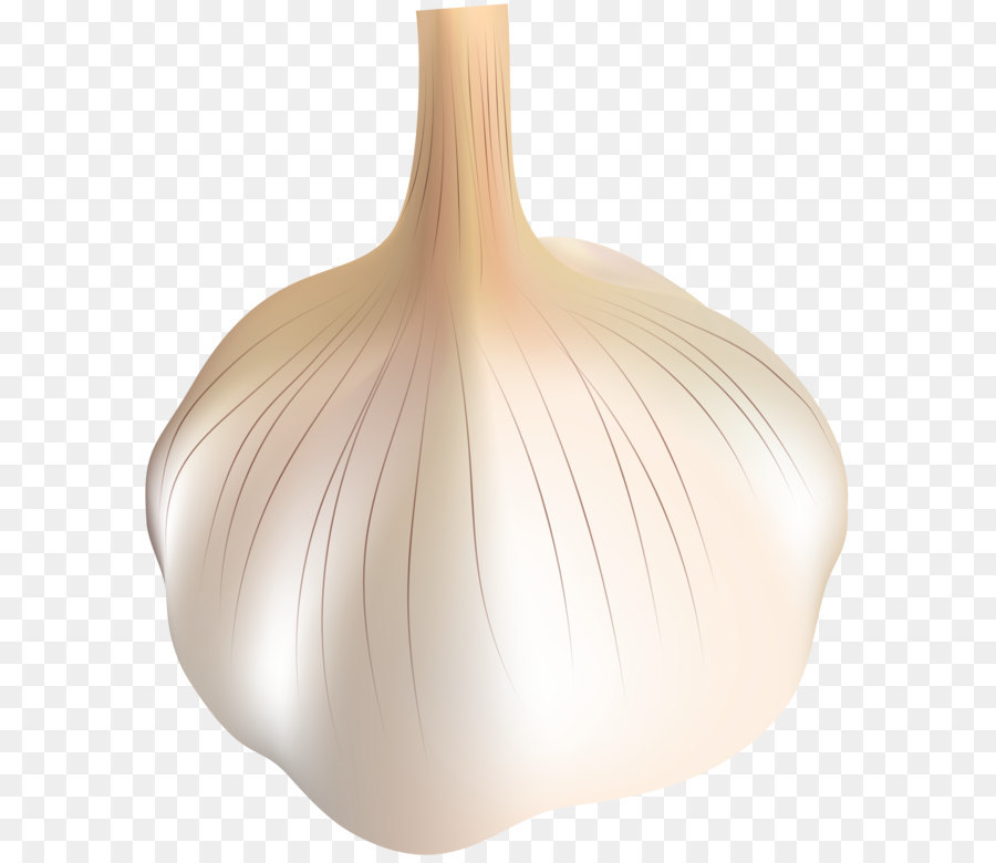 Garlic Transparent PNG Clip Art png download - 4168*5000 - Free Transparent  png Download.