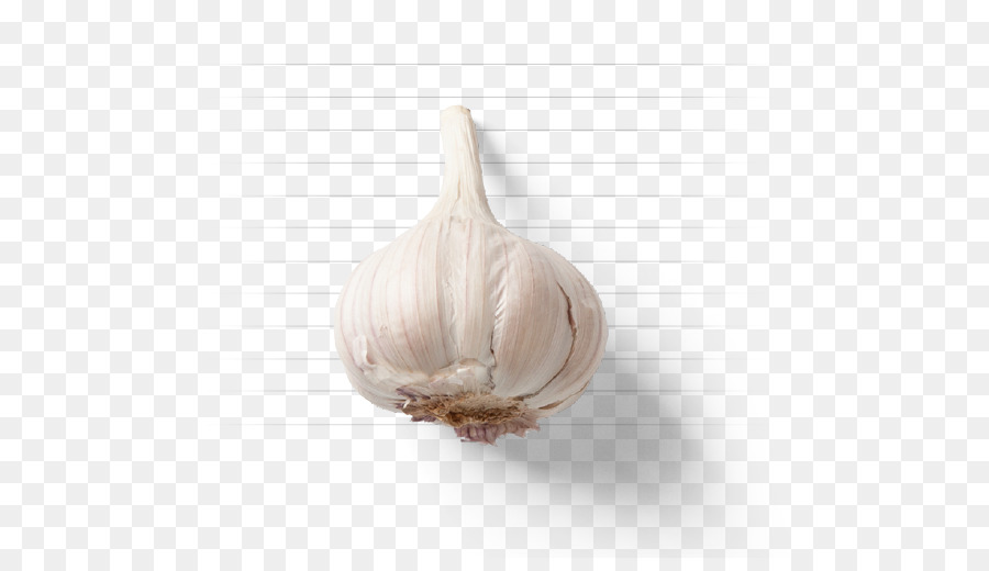 Garlic - garlic png download - 648*508 - Free Transparent Garlic png Download.